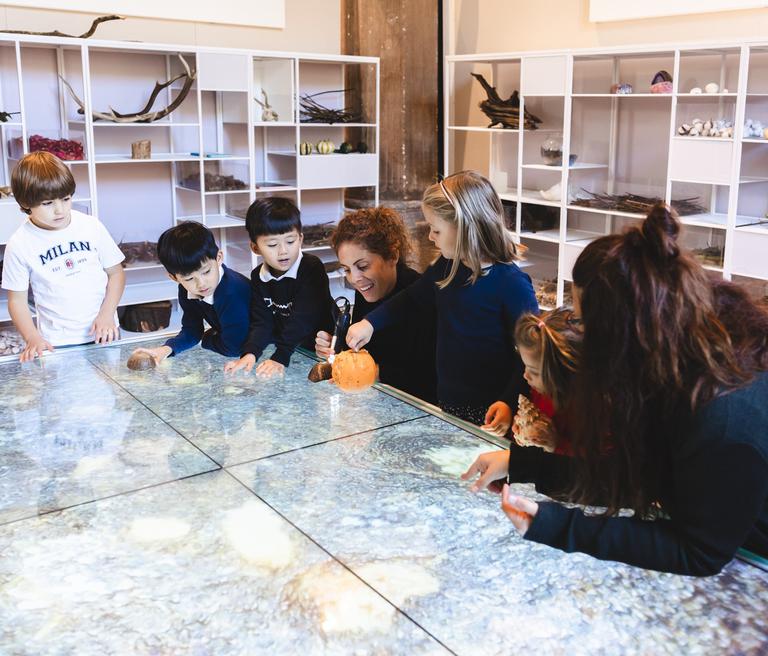 Scopri La Camera delle Meraviglie, per bambini dai 6 agli 11 anni!